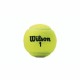 Mπαλακια Tεννις Wilson Championship XD  (3 pcs)